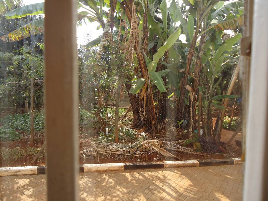 Garden view from window of studio apartment