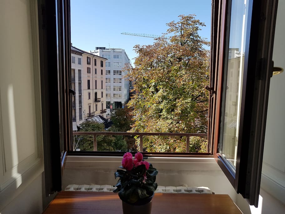 view from the window