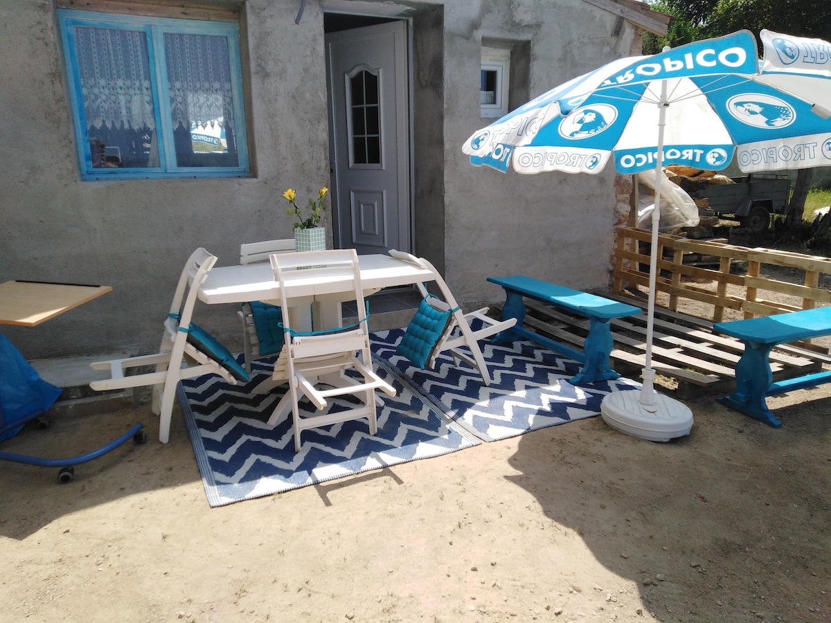 An outdoor seating area features a white table surrounded by several white chairs. A blue and white umbrella provides shade, and a patterned rug lies underneath. The entrance to a simple gray structure is visible, complemented by a decorative flower arrangement on the table.