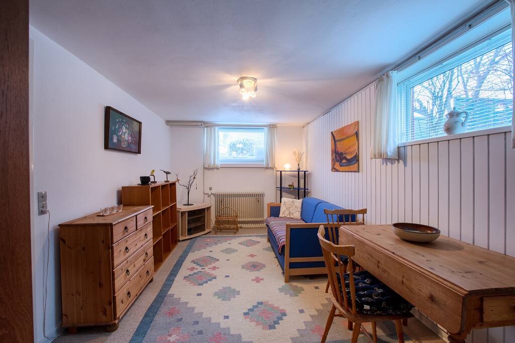Stue med sovesofa .
living room with sofa bed