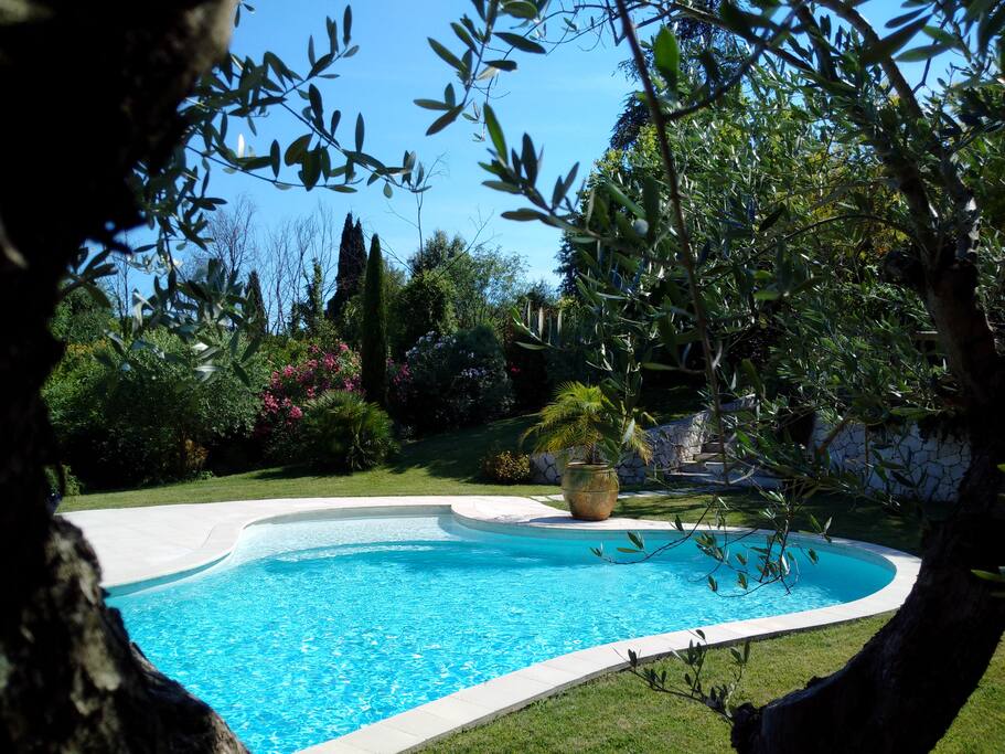 La piscine et le jardin