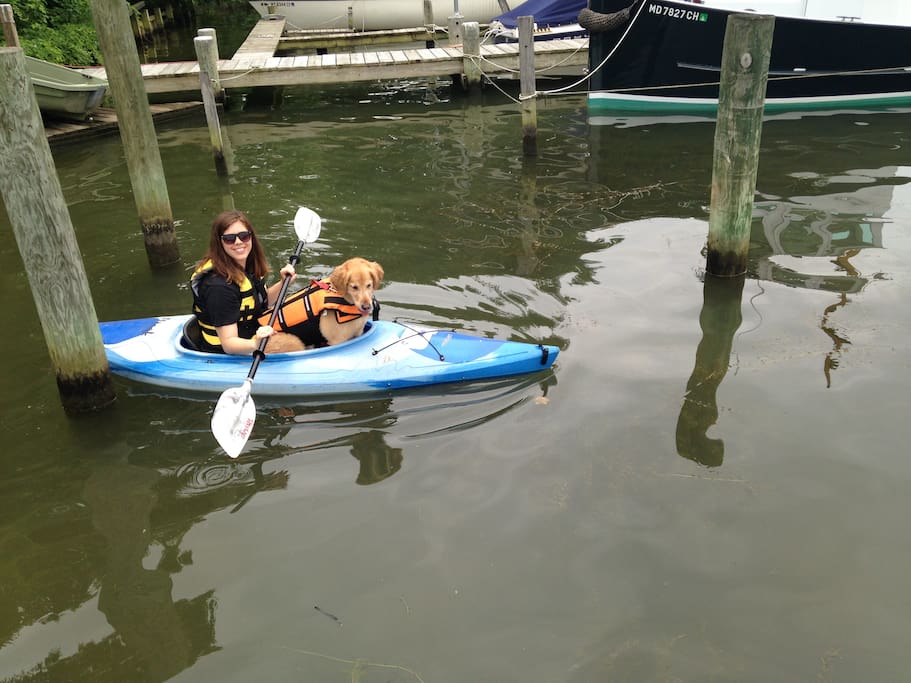 Swim and Kayak. We have two kayaks for your use.