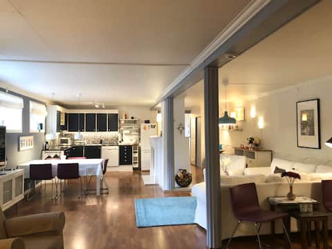 Large basement apartment near the city center, with parking