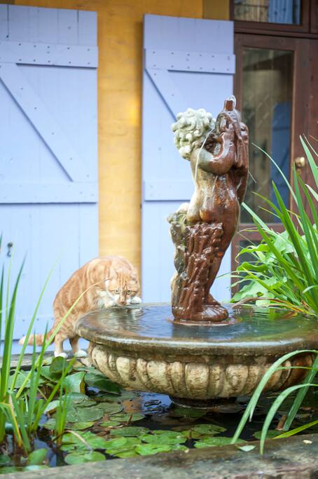 Going on to Courtyard and Fish Pond.