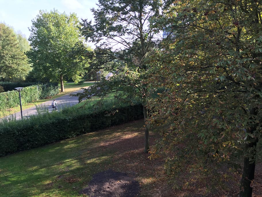 View on the park from the bedroom window