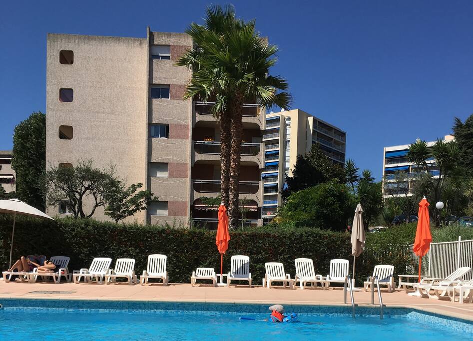 The swimming pool of the residence