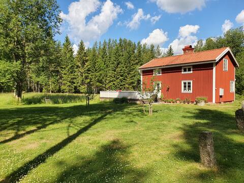 The cottage, cozy house in the forest.