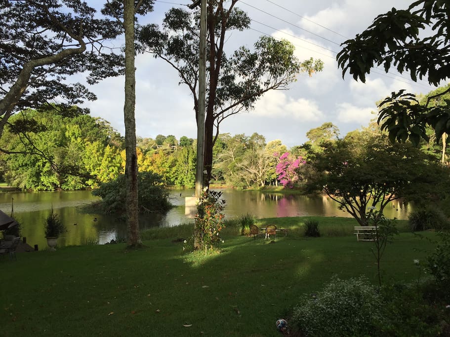 Beautiful lake on property, access to guests.