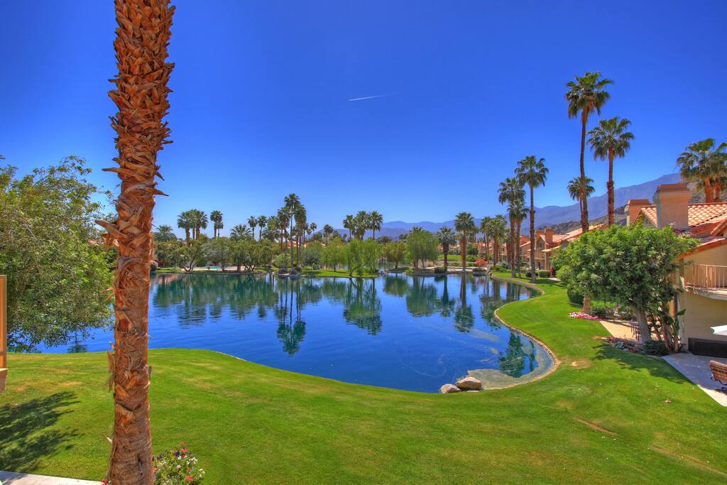 View from the patio