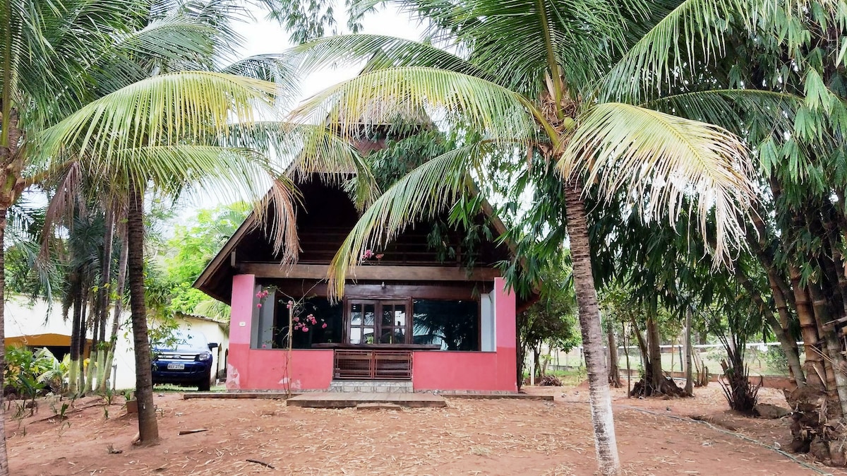 A charming chalet with a sloped roof is framed by tall palm trees. The exterior features a combination of natural wood and pink walls. Large glass doors at the front provide views of the surrounding greenery and dirt pathway leading up to the entrance.