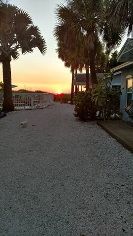 Blue Heron Cottage 5 Cottages For Rent In Indian Rocks Beach