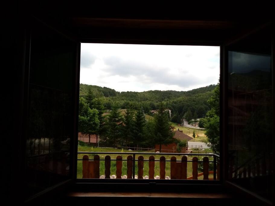 La vista dalla finestra del salone!