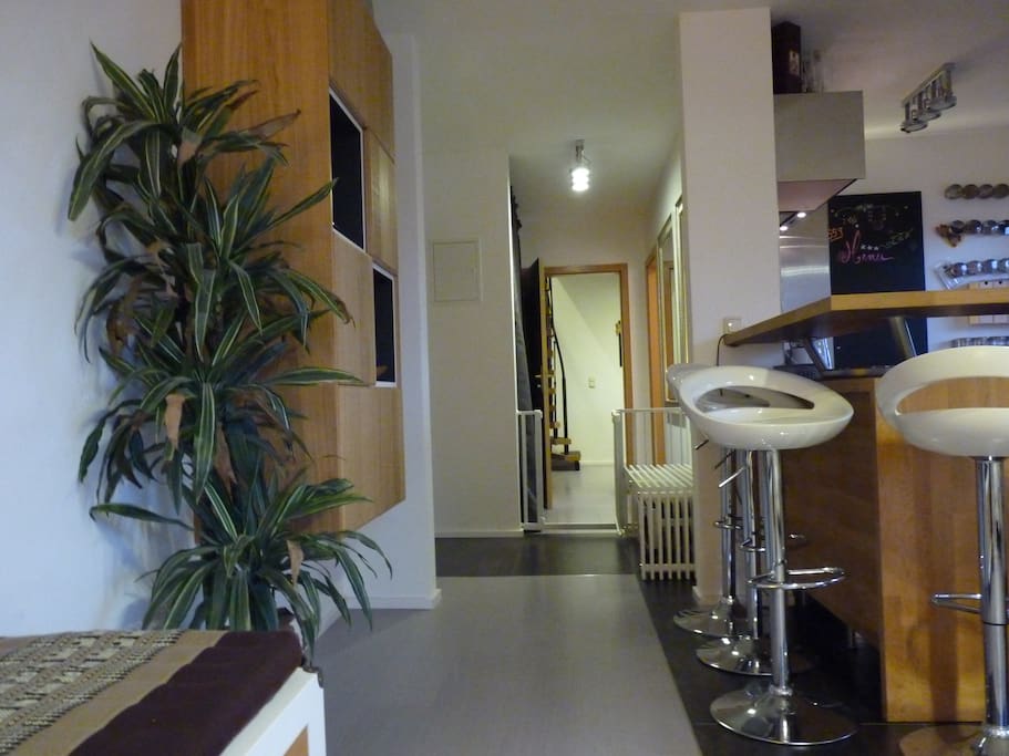 main corridor/entrance hall