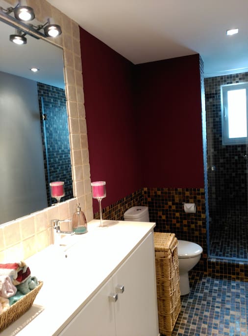 Aseo con ducha/Bathroom