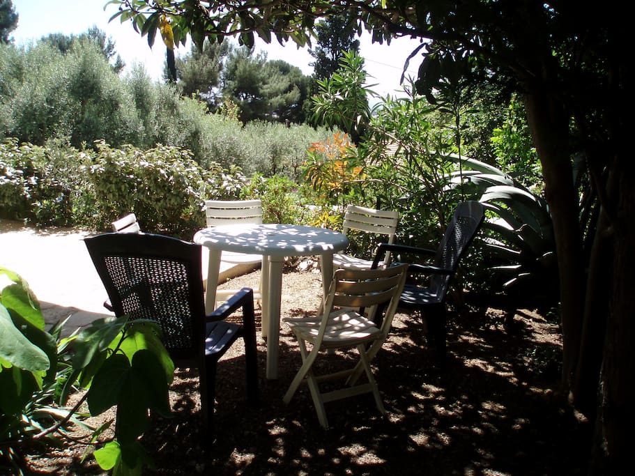 Le jardin du studio