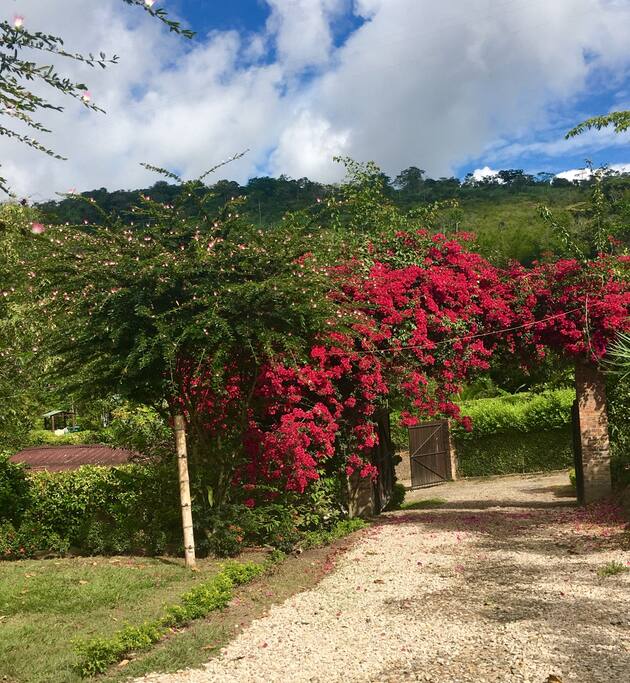 Entrada a finca