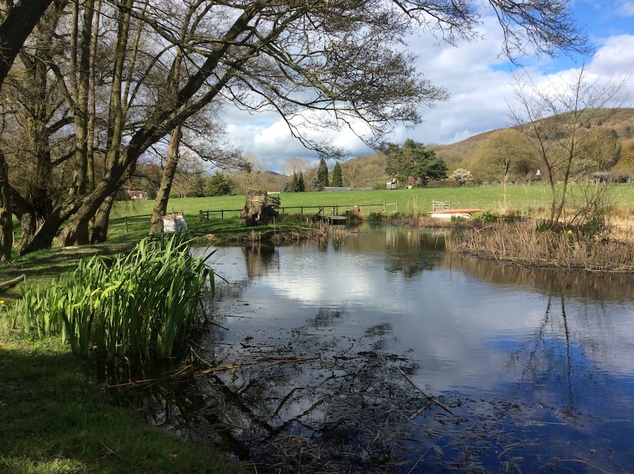 The Malt House Water & Wildlife Meadow