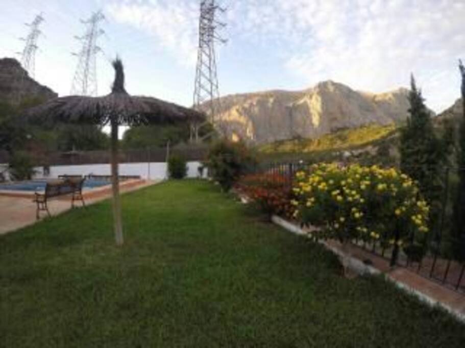 piece of garden next to the swimming pool