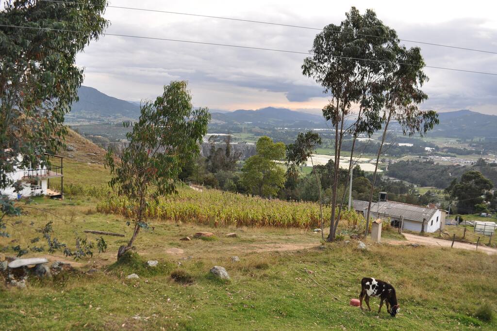LA VISTA DESDE LA SALA