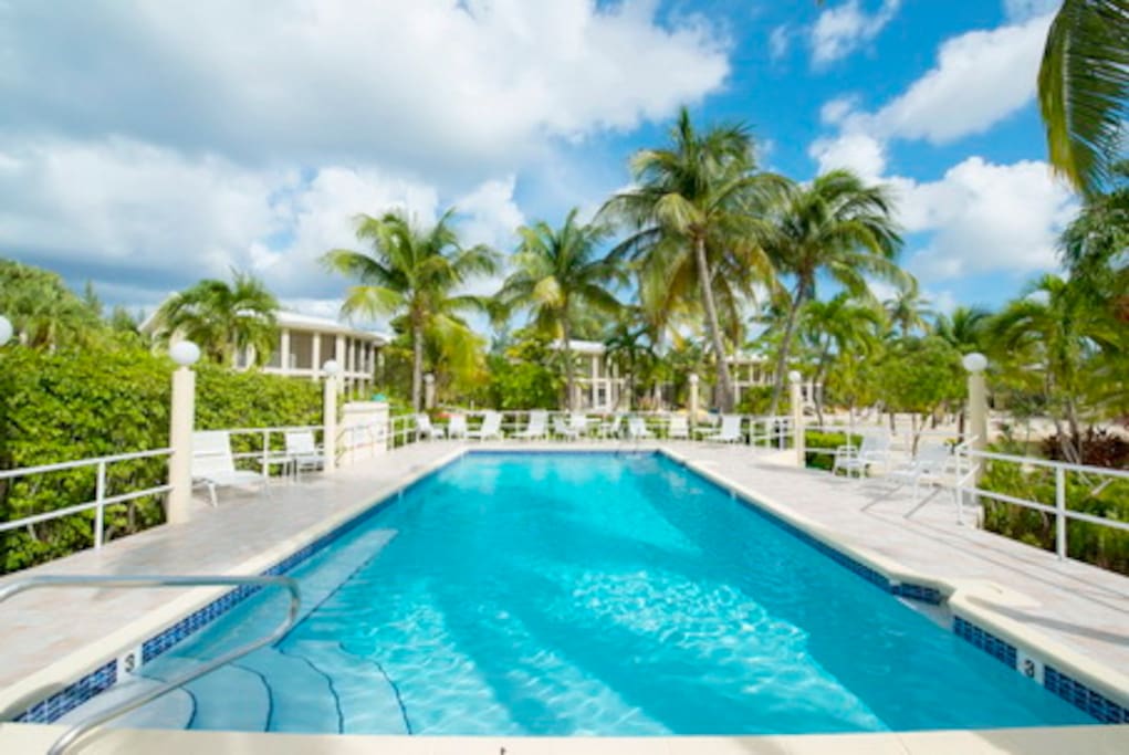 "Enjoy the beautiful pool and majestic palm trees