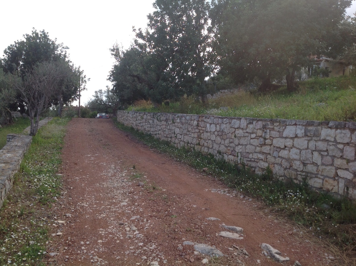 A dirt path is lined with lush greenery, leading through a quiet area bordered by a low stone wall. Olive trees are visible on both sides, creating a serene and natural setting. The pathway is made of compacted earth, flanked by wildflowers.