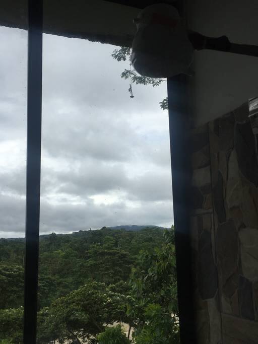View from the shower in the bathroom