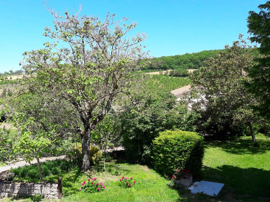Côté jardin, vue du balcon