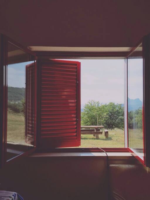View from The living room