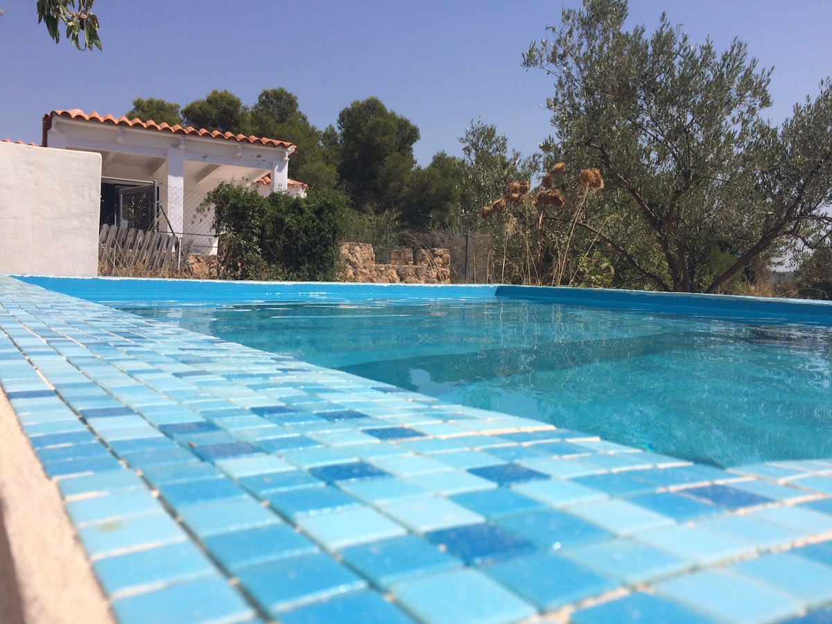 A refreshing pool area is available, featuring aqua blue tiles around the edges. The clear water reflects the surrounding nature, including olive trees and distant greenery. A quaint house is visible in the background, enhancing the outdoor retreat setting.