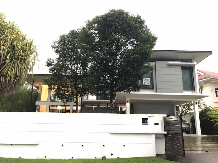 Front view