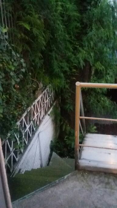 Litlle terrace