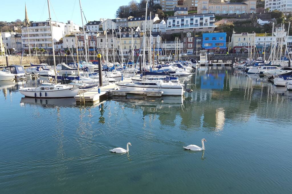 Torquay harbour, a short walk away.