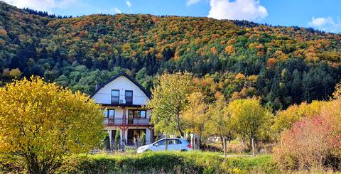 Luxury Villa inside a National Park "Vrelo Bosne"