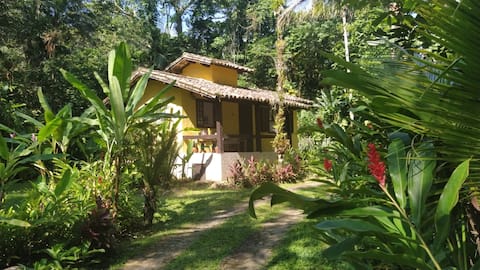 Successful Airbnb property: Getaway in the Atlantic Forest with a crystal-clear river in São Sebastião