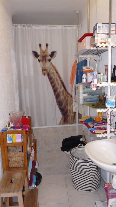 Vue B : à droite dans le couloir. La girafe prend son bain.
