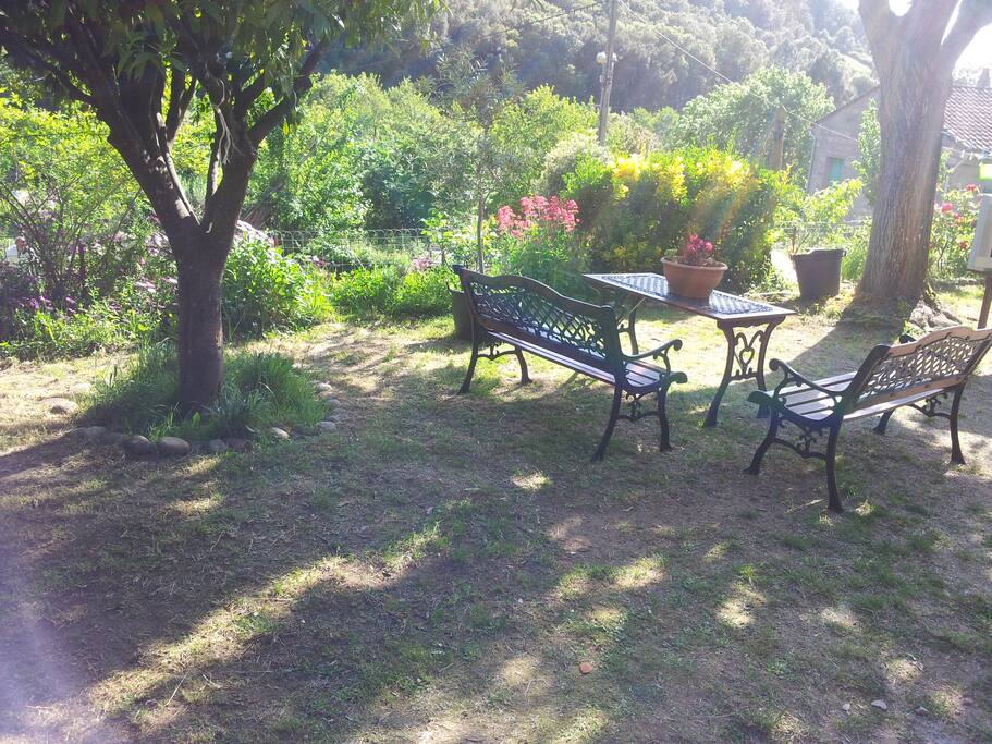 une partie du jardin