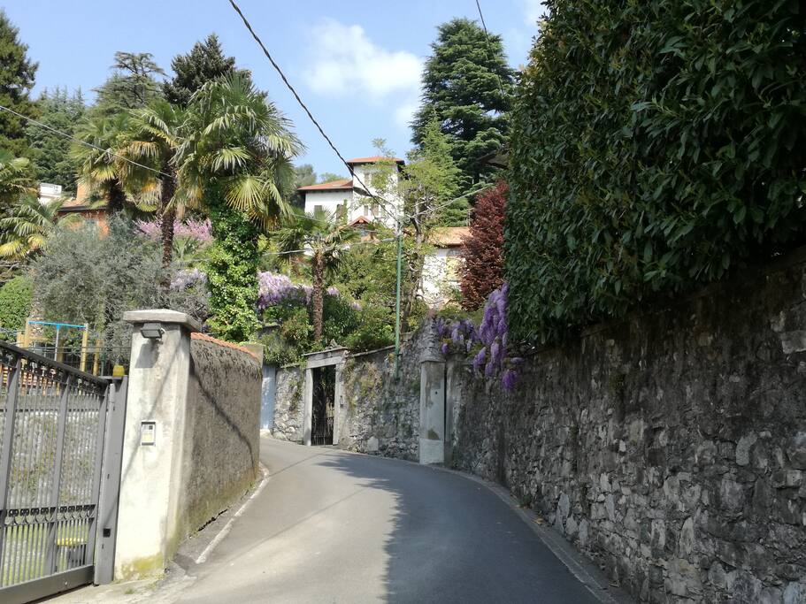 Road to the entrance gate