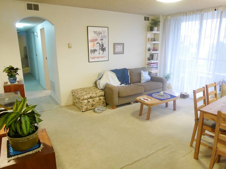 Shared living area