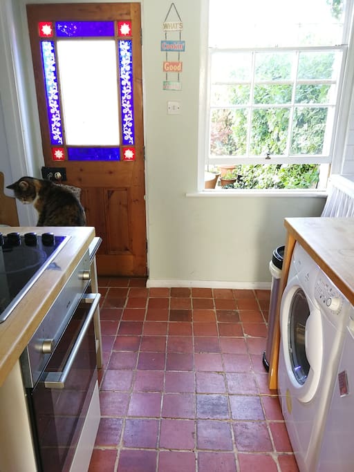 kitchen (cat not resident)