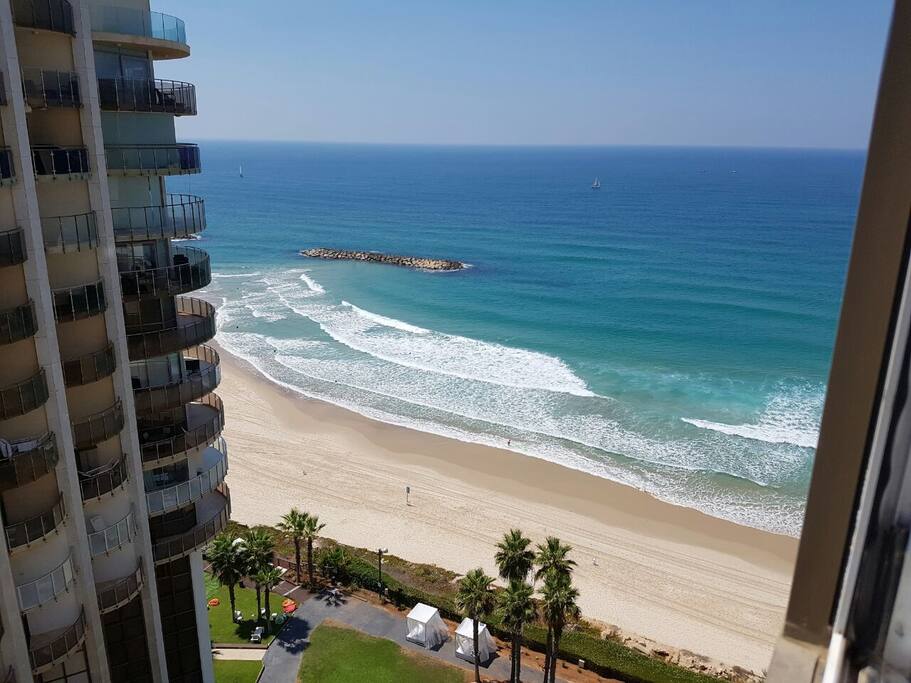 view