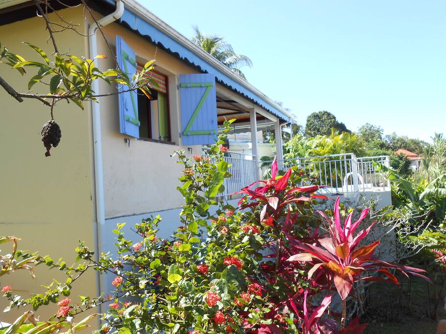 La maison son jardin tropical (fruits , mangues julie, bananes etc...)