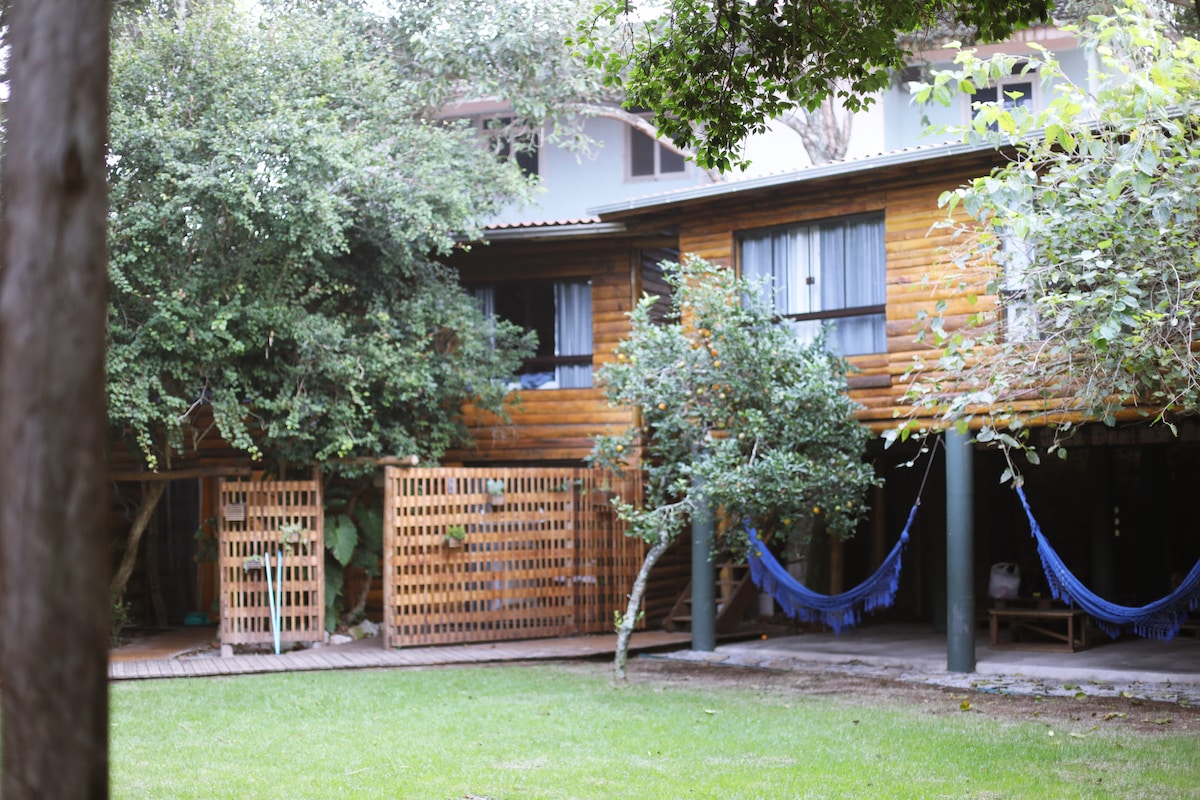A wooden structure with large windows showcases a lush green lawn. Hammocks are suspended between trees, inviting relaxation. The outdoor space includes wooden lattice screens, and the surrounding foliage provides a natural, serene environment.