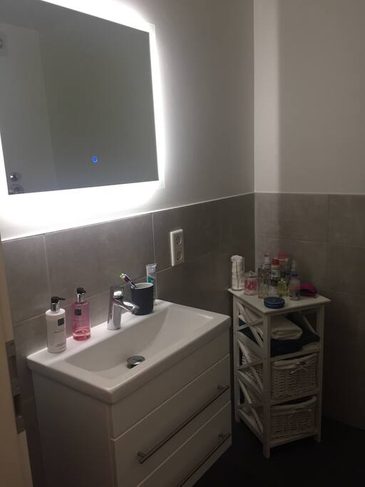 Neues, modernes Bad mit großer Dusche / new and modern bathroom with big shower