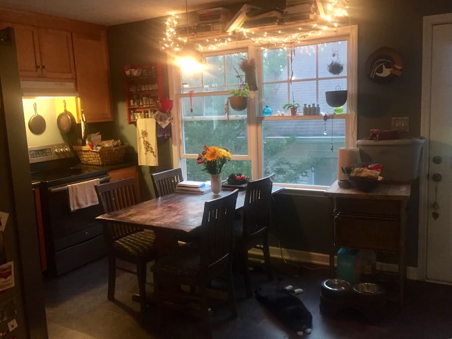 The lively hub of our home, the kitchen