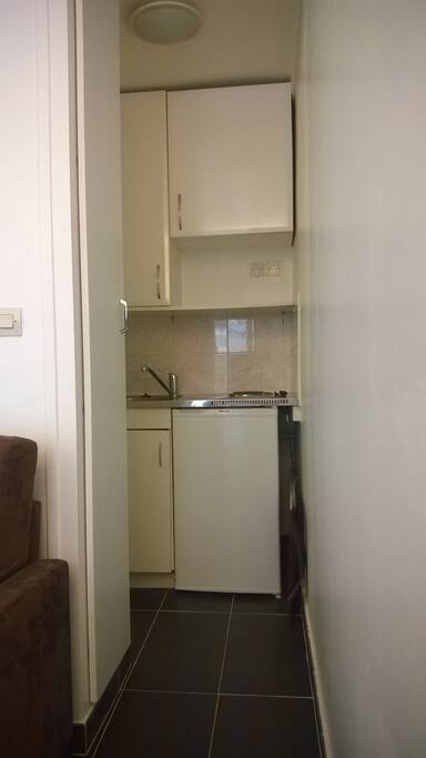 Kitchenette avec deux plaques électriques, un réfrigérateur, un lavabo et des placards.