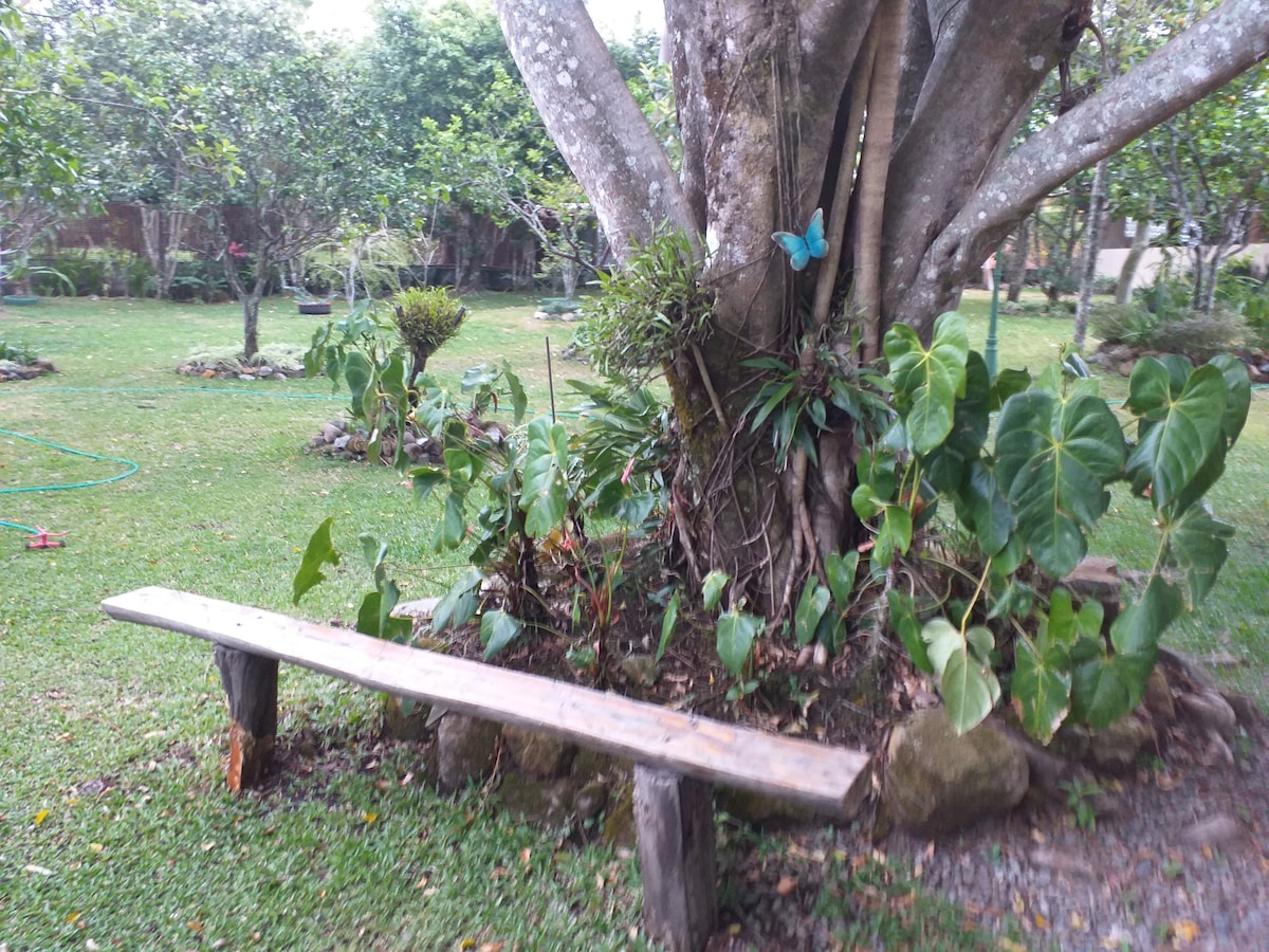 A wooden bench is positioned near a large tree adorned with greenery and small plants. The surrounding garden features a well-maintained lawn, dotted with various shrubs and trees, creating a serene outdoor space.