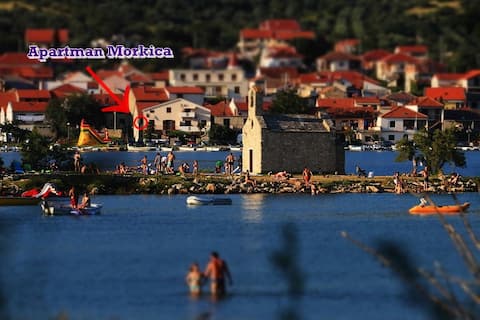 Apartment Morkica