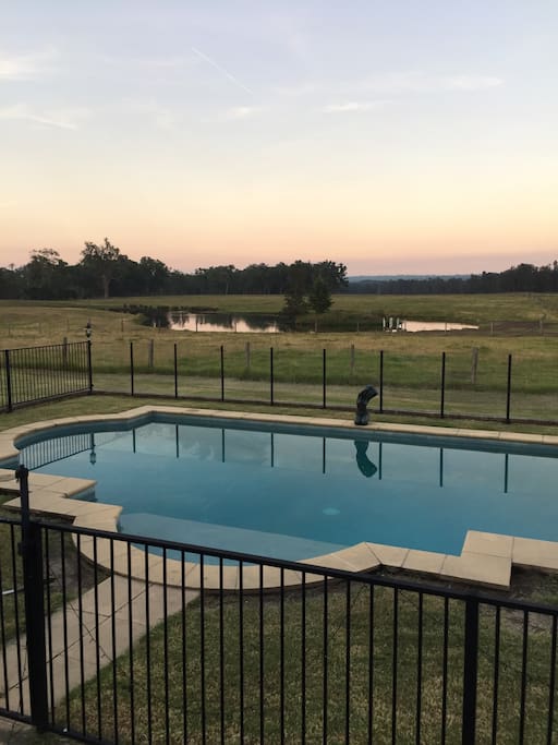 View from the deck, enjoy alfresco dining whilst watching the pool, black swans on the dam and the occasional pelican.