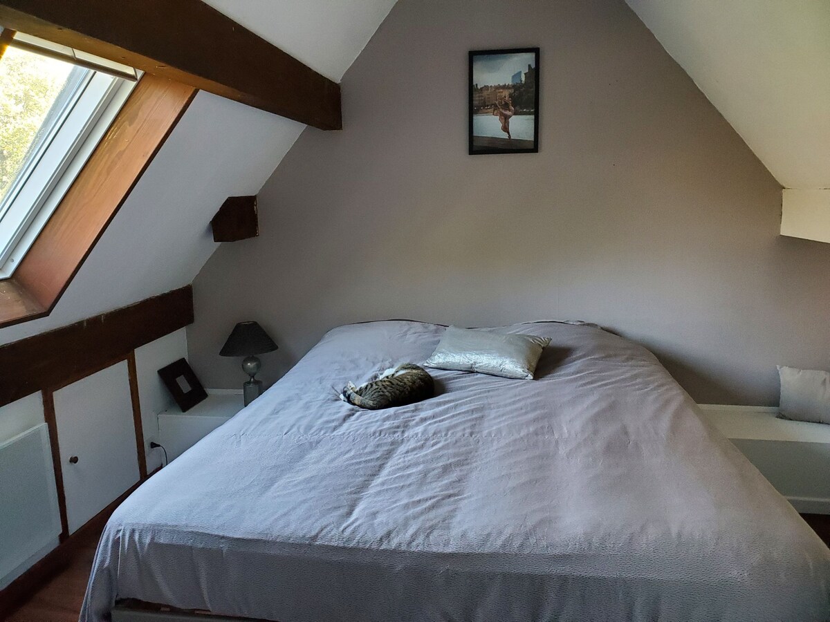A spacious sleeping area is located under the sloped ceiling, featuring a large bed covered with a light-colored blanket. A grey cat is resting on the bed. Natural light enters through a window, complemented by wooden beams and a wall-mounted photo.
