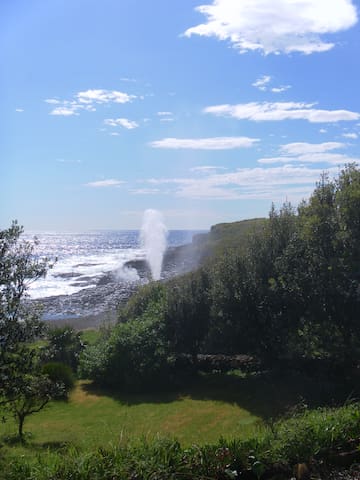Kiama Tides Bed & Breakfast